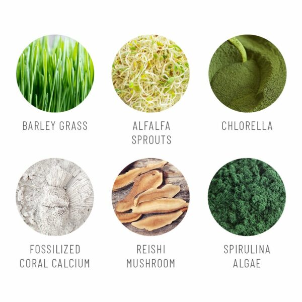 Super Greens Reds US Ingredients Image 1